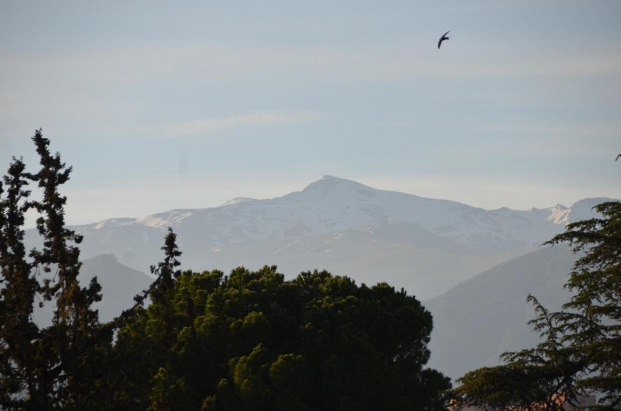 La Corrala Del Realejo Apart otel Granada Dış mekan fotoğraf